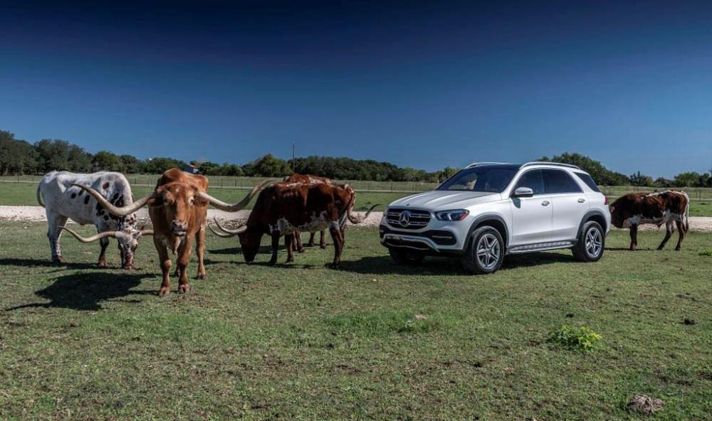 Mercedes-Benz GLE 2019 thế hệ mới nhất - ảnh 9.