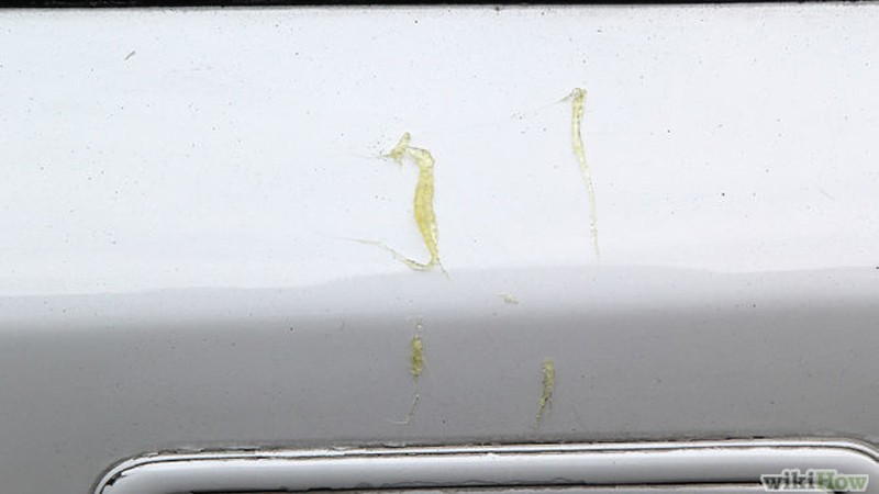 13 'thủ phạm' ảnh hưởng xấu đến chất lượng sơn xe ô tô 5.