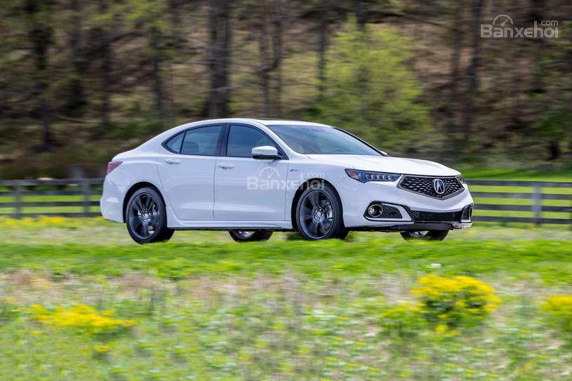 Điểm danh 10 đối thủ đáng gờm của Audi A5 2019: Acura TLX 2019.