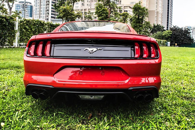 Ca-pô của Ford Mustang 2020 bản đặc biệt thiết kế dài hơn, làm tăng thêm vẻ thể thao cho xe. Phía trên nắp ca-pô có thêm 2 hốc gió, kết hợp cùng lưới tản nhiệt góp phần làm mát động cơ. Hệ thống 3 dải đèn LED định vị ban ngày với bóng Projector, đèn sương mù đặt ngang kèm hốc gió đầy tính khí động học. Ca-pô của Ford Mustang 2020 bản đặc biệt