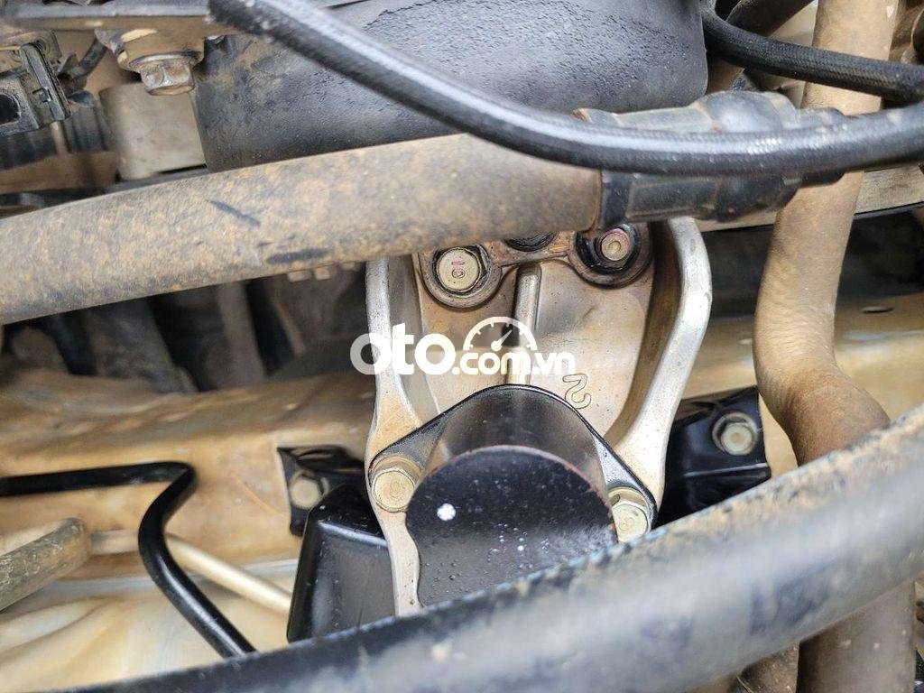 Ảnh số 19