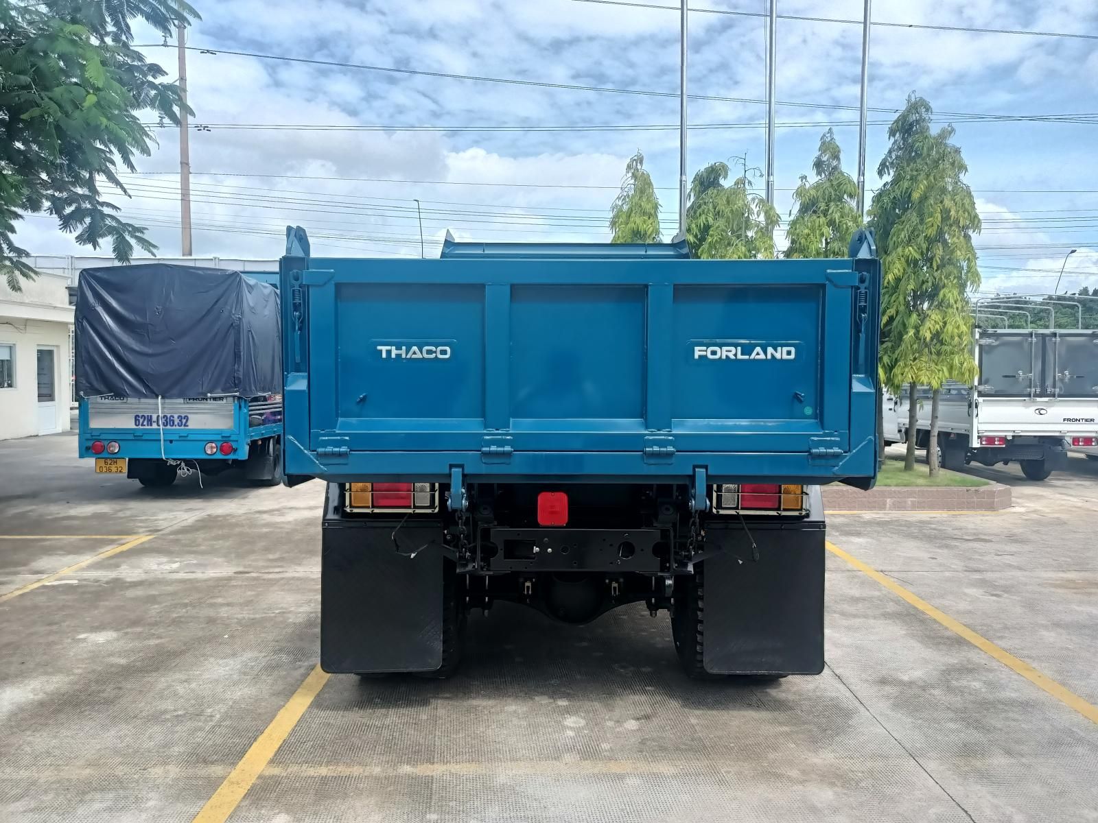 Ảnh số 19
