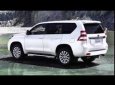 Toyota Prado TXL 2017 - Cần bán xe Toyota Prado TXL đời 2017, màu nâu, xe nhập