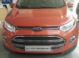 Ford EcoSport MT  2016 - Ford Ecosport 2017 MT, hỗ trợ đăng ký đăng kiểm, giao xe tỉnh, giá tốt giao xe ngay