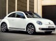 Volkswagen New Beetle 2016 - Bán Volkswagen Beetle năm 2016, nhập khẩu