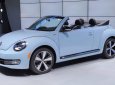Volkswagen New Beetle 2016 - Bán Volkswagen Beetle năm 2016, nhập khẩu
