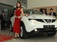 Nissan Juke 2016 - Xe Nissan Juke 2016 - Nhập Anh nguyên chiếc tại Đà Nẵng