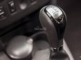 Renault Sandero Stepway 2016 - Cần bán xe Renault Sandero Stepway đời 2016, màu xanh lục, xe nhập, giá tốt