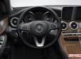 Mercedes-Benz GLC-Class 300AMG 2015 - Cần bán Mercedes 300AMG đời 2015, màu nâu