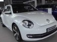 Volkswagen Beetle 2016 - Xe con bọ nhập Đức Volkswagen Beetle 2016. Xe sang, chảnh màu trắng. LH Hương 0902608293