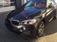 BMW X6 2015 - Bán BMW X6 đời 2015, màu đen, xe nhập