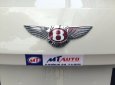 Bentley Continental Flying Spur 2015 - Bán Bentley Continental Flying Spur sản xuất 2015, màu kem (be), nhập khẩu chính hãng