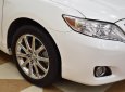 Toyota Camry XLE 2009 - Bán xe Toyota Camry XLE đời 2009, màu trắng, nhập khẩu nguyên chiếc, giá 939tr