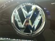Volkswagen Polo GP 2016 - Bán ô tô Volkswagen Polo GP năm 2016, màu nâu, nhập khẩu chính hãng