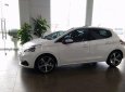 Peugeot 208 2016 - Cần bán xe Peugeot 208 đời 2016, màu trắng
