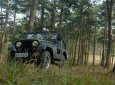 Jeep CJ   1980 - Bán xe Jeep CJ đời 1980, xe nhập, giá tốt