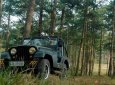 Jeep CJ 1968 - Bán Jeep CJ sản xuất 1968, màu xanh lam, nhập khẩu chính chủ giá cạnh tranh