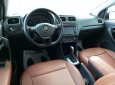 Volkswagen Vento 2015 - Bán xe Volkswagen Vento đời 2015, màu nâu, xe nhập