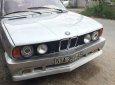 BMW 5 Series 520i 1987 - Bán ô tô BMW đời 1987, màu bạc, nhập khẩu chính hãng, xe còn đẹp