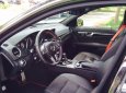 Mercedes-Benz C300 2013 - Bán ô tô Mercedes C300 đời 2013 chính chủ