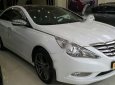 Hyundai Sonata 2.0AT 2010 - Cần bán xe cũ Hyundai Sonata 2.0AT năm 2010, màu trắng, xe nhập