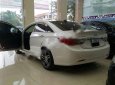 Hyundai Sonata 2.0AT 2010 - Cần bán xe cũ Hyundai Sonata 2.0AT năm 2010, màu trắng, xe nhập