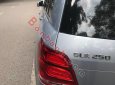 Mercedes-Benz GLK Class   250 2013 - Bán Mercedes GLK 250 đời 2013, màu bạc