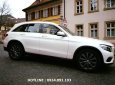 Mercedes-Benz Smart GLC 250 Exclusive  2018 - Bán Mercedes GLC 250 Exclusive đời 2018 - Ưu đãi đặc biệt, xe giao ngay