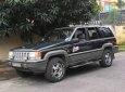 Jeep Grand Cheroke   1994 - Cần bán Jeep Grand Cheroke 1994, màu đen, nhập khẩu, giá 225tr