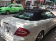 Mercedes-Benz CLK class 320 2005 - Bán Mercedes CLK320 đời 2005, màu trắng, nhập khẩu chính hãng số tự động