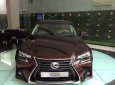 Lexus GS350 AT 2017 - Lexus Trung Tâm Sài Gòn bán ô tô Lexus GS350 AT đời 2017, màu nâu, nhập khẩu