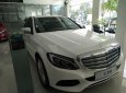 Mercedes-Benz C250 Exclusive 2017 - Cần bán xe Mercedes C250 Exclusive mẫu mới 2017, có đủ màu, giao ngay, giá giảm cực sốc