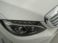 Mercedes-Benz C250 Exclusive 2017 - Cần bán xe Mercedes C250 Exclusive mẫu mới 2017, có đủ màu, giao ngay, giá giảm cực sốc