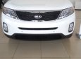 Kia Sorento DATH 2017 - Bán ô tô Kia Sorento DATH đời 2017, màu trắng, giá chỉ 925tr