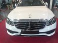 Mercedes-Benz E200 2017 - Bán xe Mercedes E200 đời 2017, màu trắng