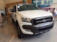 Ford Ranger Wildtrak 3.2 AT 2017 - Cần bán xe Ford Ranger Wildtrak 3.2 AT đời 2017, nhập khẩu