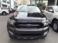 Ford Ranger Wildtrak 3.2 AT 2017 - Cần bán xe Ford Ranger Wildtrak 3.2 AT đời 2017, nhập khẩu