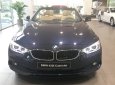 BMW 4 Series 428i Cabriolet 2017 - BMW 4 Series 428i Cabriolet 2017, màu xanh lam, nhập khẩu