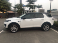 LandRover Discovery 2016 - Bán xe LandRover Discovery sản xuất 2016 màu trắng, 2 tỷ 499 triệu, xe nhập