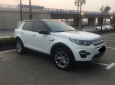 LandRover Discovery 2016 - Bán xe LandRover Discovery sản xuất 2016 màu trắng, 2 tỷ 499 triệu, xe nhập