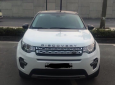 LandRover Discovery 2016 - Bán xe LandRover Discovery sản xuất 2016 màu trắng, 2 tỷ 499 triệu, xe nhập