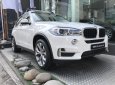 BMW X5 xDrive 35i 2017 - Bán BMW X5 xDrive 35i đời 2017, màu trắng, nhập khẩu nguyên chiếc