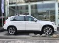 BMW X5 xDrive 35i 2017 - Bán BMW X5 xDrive 35i đời 2017, màu trắng, nhập khẩu nguyên chiếc