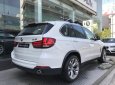 BMW X5 xDrive 35i 2017 - Bán BMW X5 xDrive 35i đời 2017, màu trắng, nhập khẩu nguyên chiếc