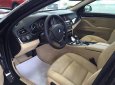 BMW 5 Series 520i 2017 - BMW 5 Series 520i 2017, màu đen, nhập khẩu chính hãng. Bán xe BMW chính hãng tại Gia Lai