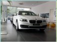 BMW 5 Series 520i 2017 - BMW 5 Series 520i 2017, màu đen, nhập khẩu chính hãng. Bán xe BMW chính hãng tại Gia Lai