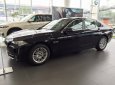 BMW 5 Series 520i 2017 - BMW 5 Series 520i 2017, màu đen, nhập khẩu chính hãng. Bán xe BMW chính hãng tại Gia Lai