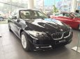 BMW 5 Series 520i 2017 - BMW 5 Series 520i 2017, màu đen, nhập khẩu chính hãng. Bán xe BMW chính hãng tại Gia Lai