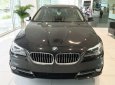 BMW 5 Series 520i 2017 - BMW 5 Series 520i 2017, màu đen, nhập khẩu chính hãng. Bán xe BMW chính hãng tại Gia Lai