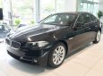 BMW 5 Series 520i 2017 - BMW 5 Series 520i 2017, màu đen, nhập khẩu chính hãng. Bán xe BMW chính hãng tại Gia Lai
